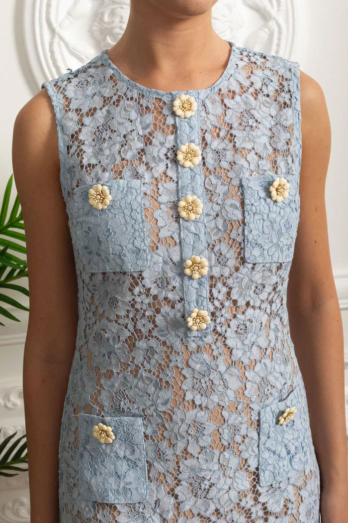 Vestido Curto  – Bordado Floral, Botões, Renda, Decote O e Sem Mangas